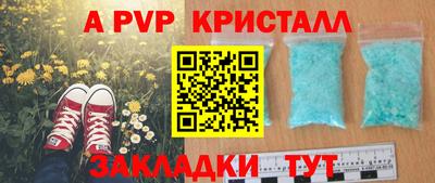 ECSTASY Славгород