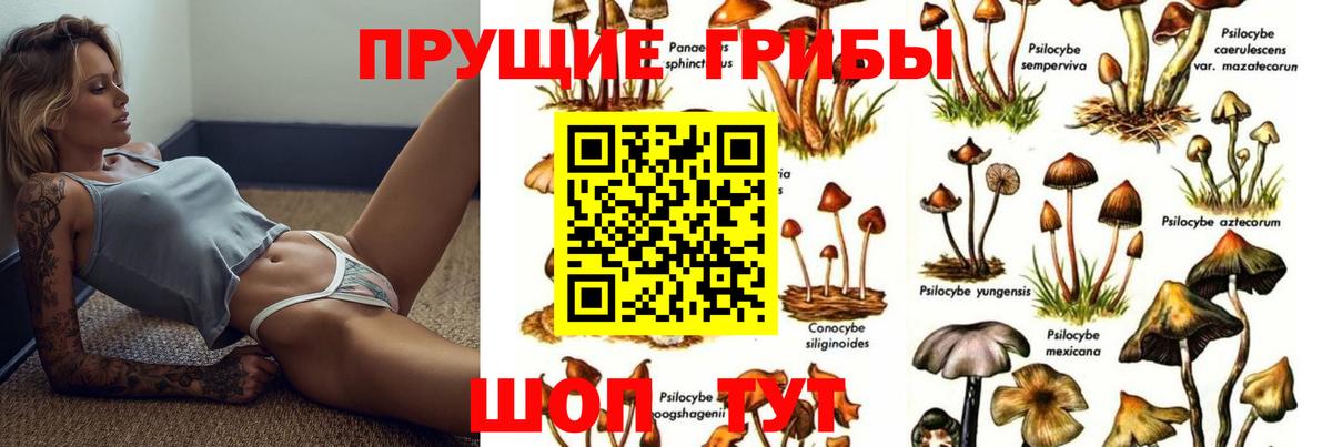 Новошахтинск  Галлюциногенные грибы MAGIC MUSHROOMS  Вход с VPN 